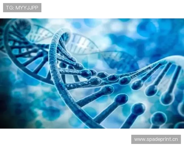 杜埃与亚马尔对比:新星天赋结构与上限差异分析 杜埃与亚马尔对比:新星天赋结构与上限差异分析