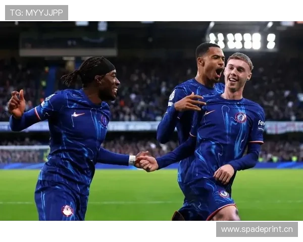 恩佐世界杯封神表现解析：如何成为阿根廷关键拼图