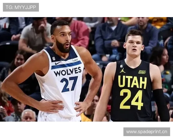 凯斯勒护框效率领跑联盟，内线屏障作用凸显