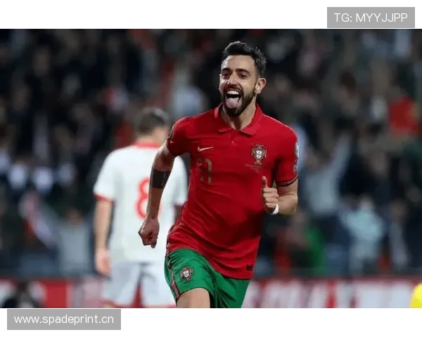 葡萄牙国家队核心成员：B费的国家队地位